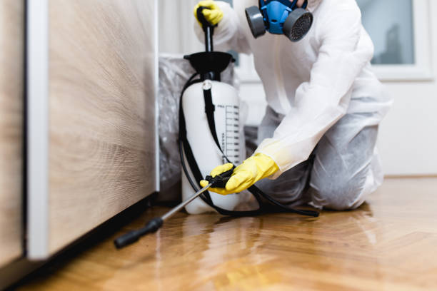 Wasp Removal Services in Johnstown, NY