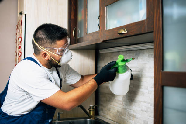 Best Pest Removal Services  in Johnstown, NY