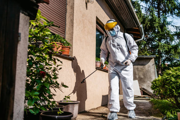 Best Affordable Pest Control Services  in Johnstown, NY