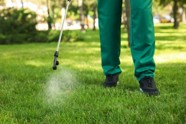 Best Pest Inspection Near Me  in Johnstown, NY