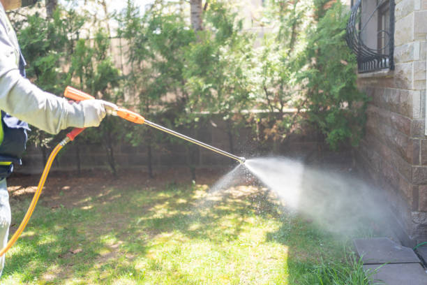 Best Rat Extermination Near Me  in Johnstown, NY