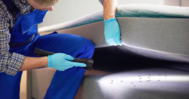 Best Pest Prevention Services  in Johnstown, NY