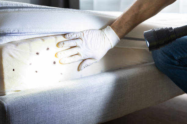 Best Best Pest Control Companies  in Johnstown, NY
