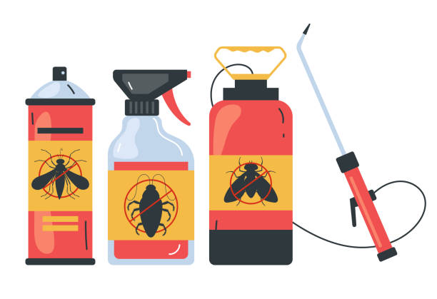 Trusted Johnstown, NY Pest Control Experts