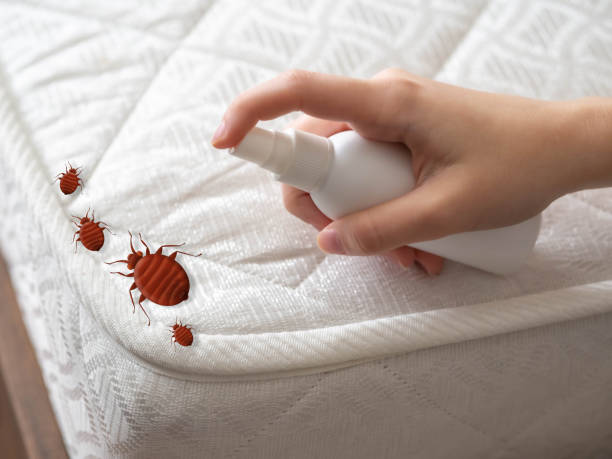 Best Best Pest Control Companies  in Johnstown, NY