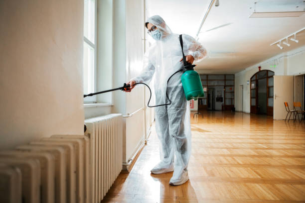Best Termite Control Services  in Johnstown, NY