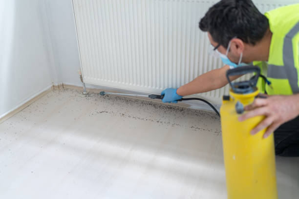 Best Termite Control Services  in Johnstown, NY