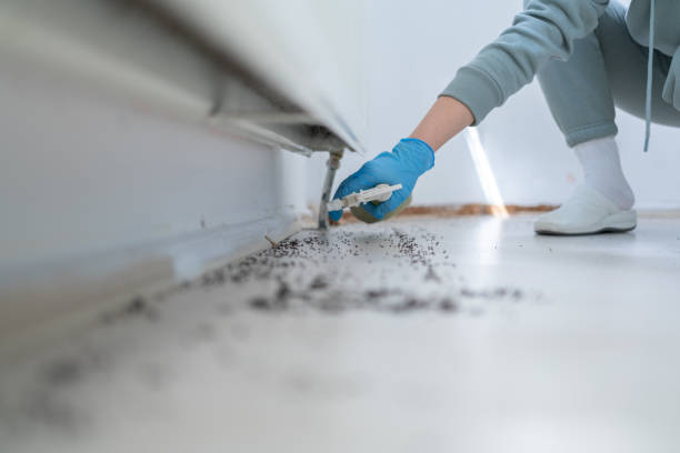 Pest Control Cost in Johnstown, NY